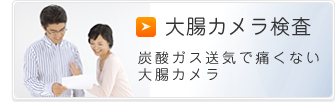 大腸カメラ検査 定期的な内視鏡検査で大腸がんの早期発見を